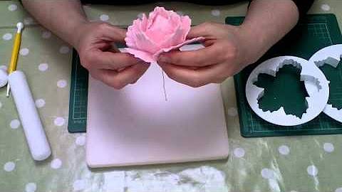 Цветы из мастики своими руками: пошаговый мастер-класс. розы и лилии из мастики для торта с цветами