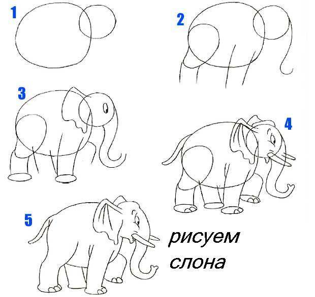 Презентация по изо 2 класс поэтапное рисование животных