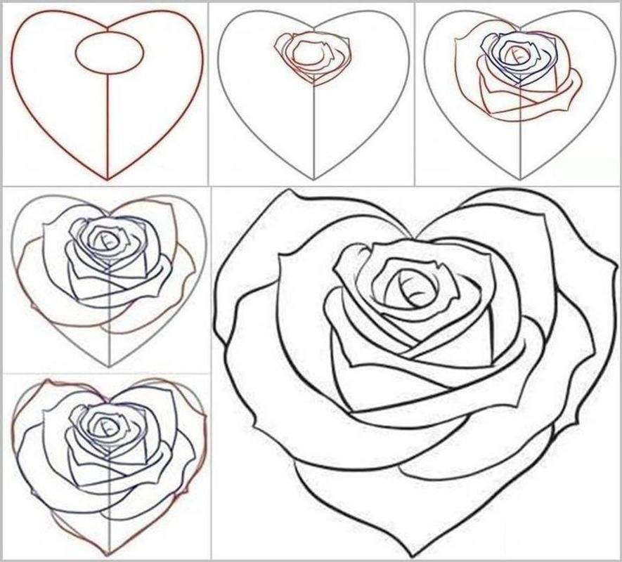 Как нарисовать красивую розу ✿ поэтапно: 14 советов для начинающих