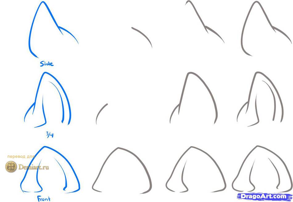 Как нарисовать аниме котенка  поэтапно 10 уроков