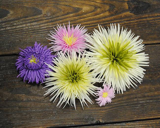 Цветы из фоамирана своими руками — подборка пошаговых мастер-классов с фото