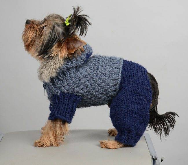 Одежда для йорков: шьем и вяжем костюмчики для собак своими руками