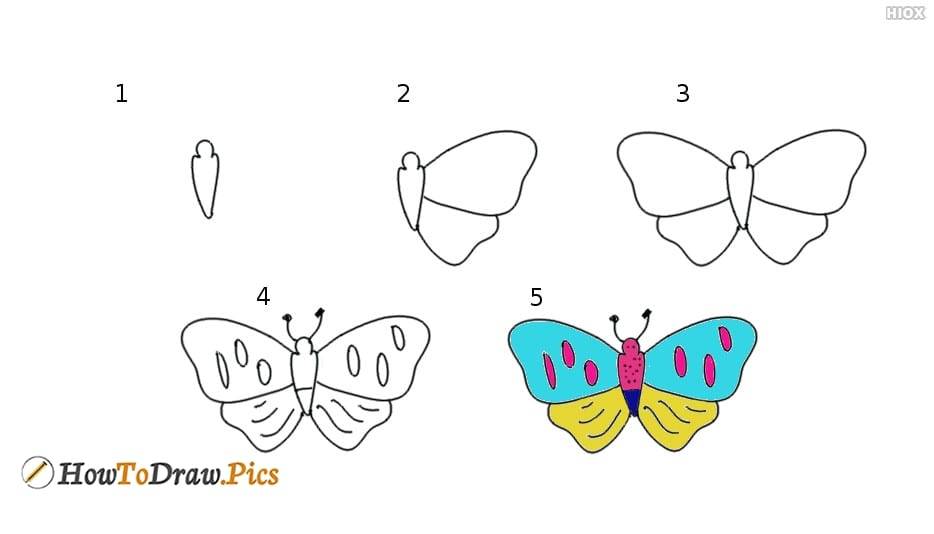 Как нарисовать бабочку поэтапно карандашом. как нарисовать бабочку на цветке карандашами поэтапно