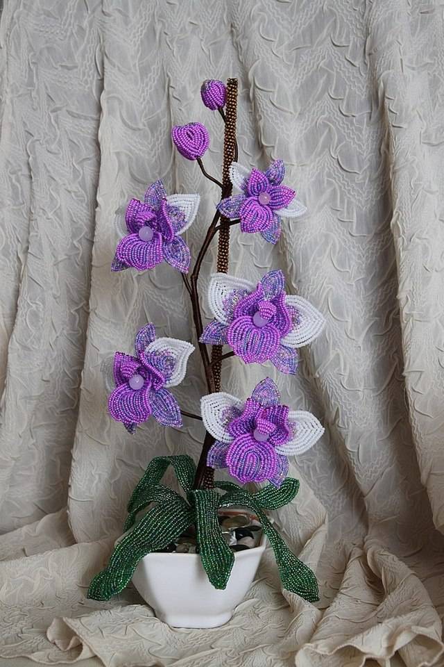 Орхидея из бисера: создаем идеальный цветок своими руками