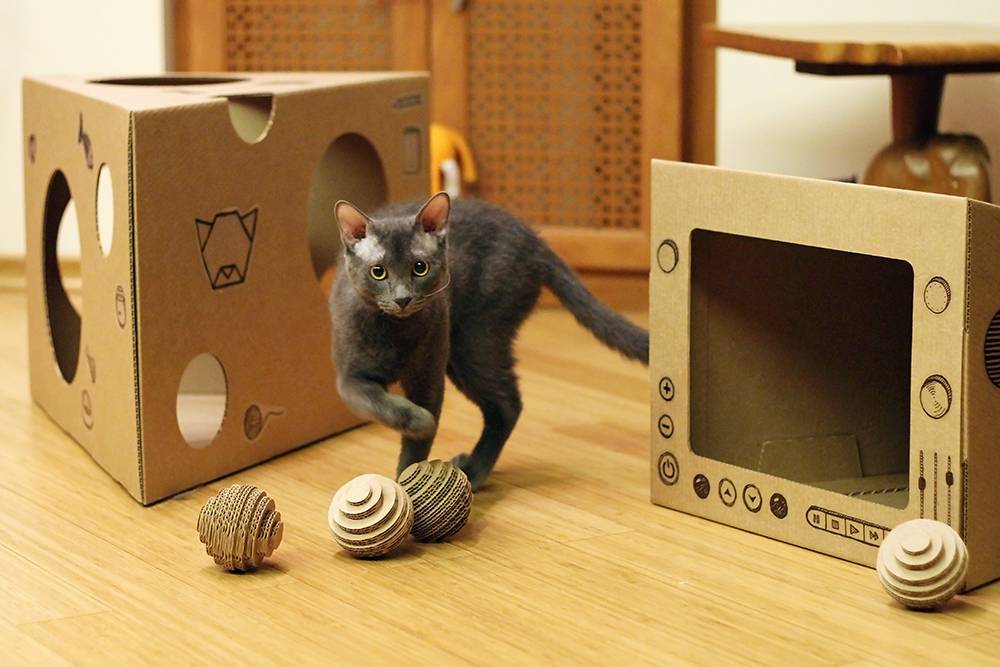 Простые и быстрые способы, как сделать игрушку для котенка своими руками