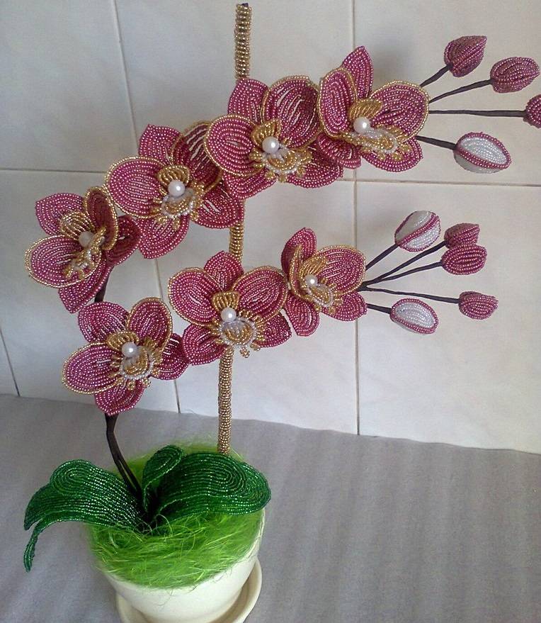Орхидея из бисера: видео, фото, схемы плетения с объяснениями и мастер-классы