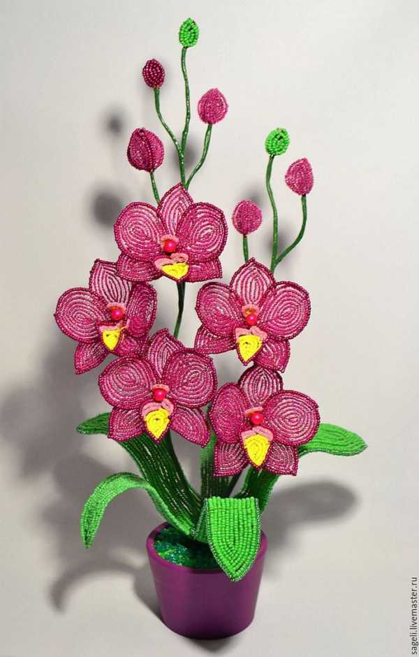 Пошаговый урок плетения нежных орхидей из бисера