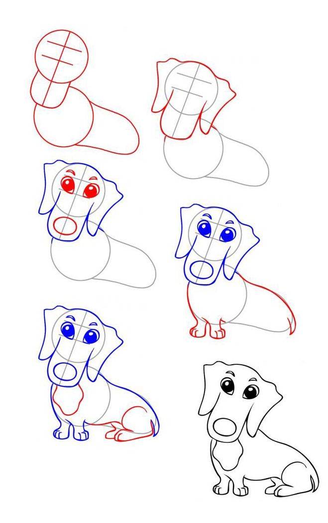 Рисуем собаку с детьми. Поэтапное рисование собаки. Пошаговое рисование собаки. Поэтапный рисунок собаки. Поэтапное рисование собаки карандашом.