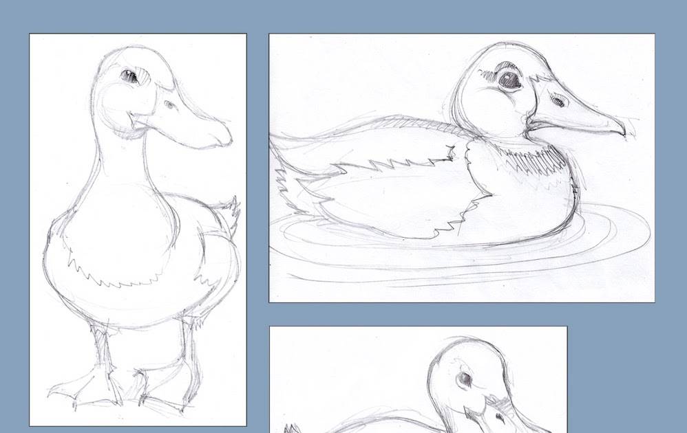 Как нарисовать утку поэтапно - поэтапные мастер-классы для начинающих
