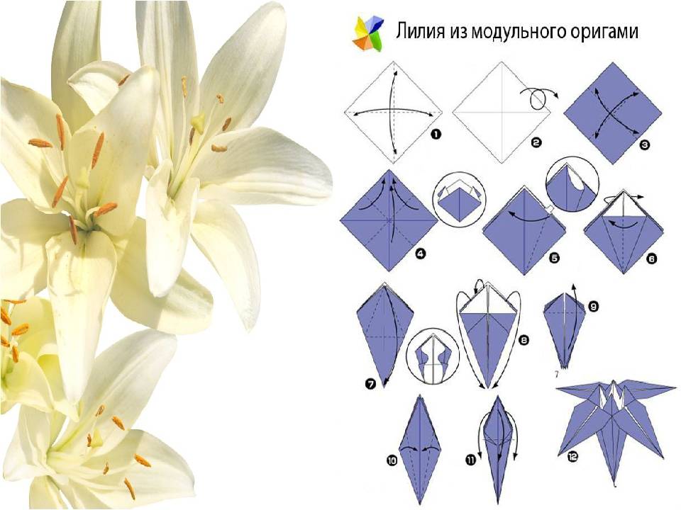 Оригами сделать цветок из бумаги своими руками пошаговое фото