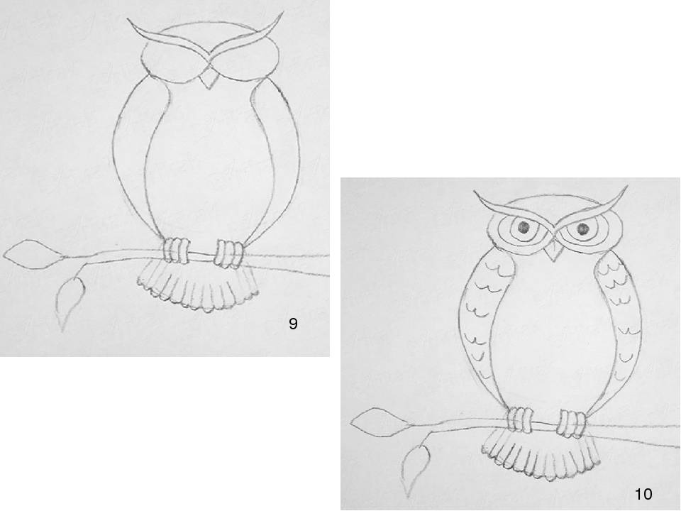 Как нарисовать сову - этапы и рекомендации как сделать рисунок стильным и реалистичным (125 фото)