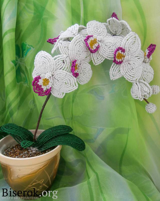 Орхидея из бисера: мастер-класс с пошаговым фото