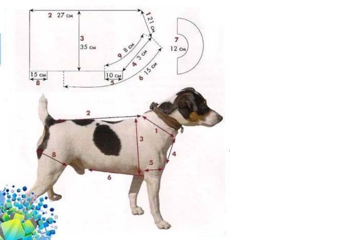 Как сшить жилетку для собаки своими руками выкройки