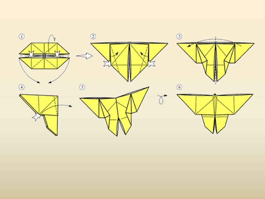 Презентация оригами бабочка из бумаги пошаговой инструкции
