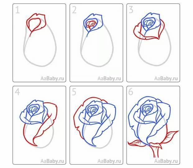 Как нарисовать розу