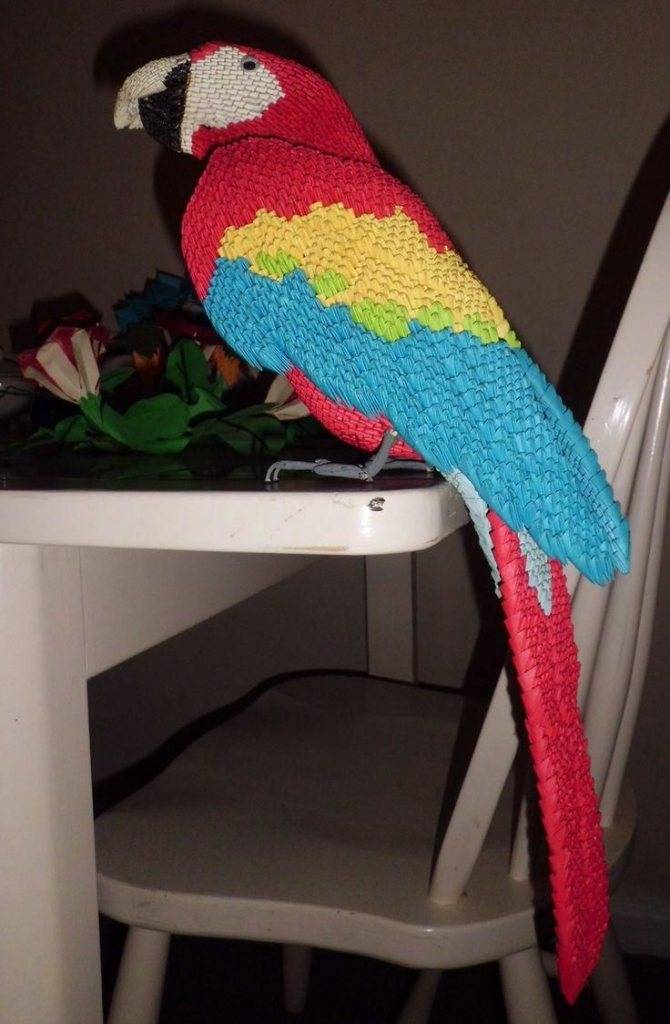 Оригами попугай: поэтапная инструкция для начинающих создания попугаев из бумаги - журнал "сам себе изобретатель"