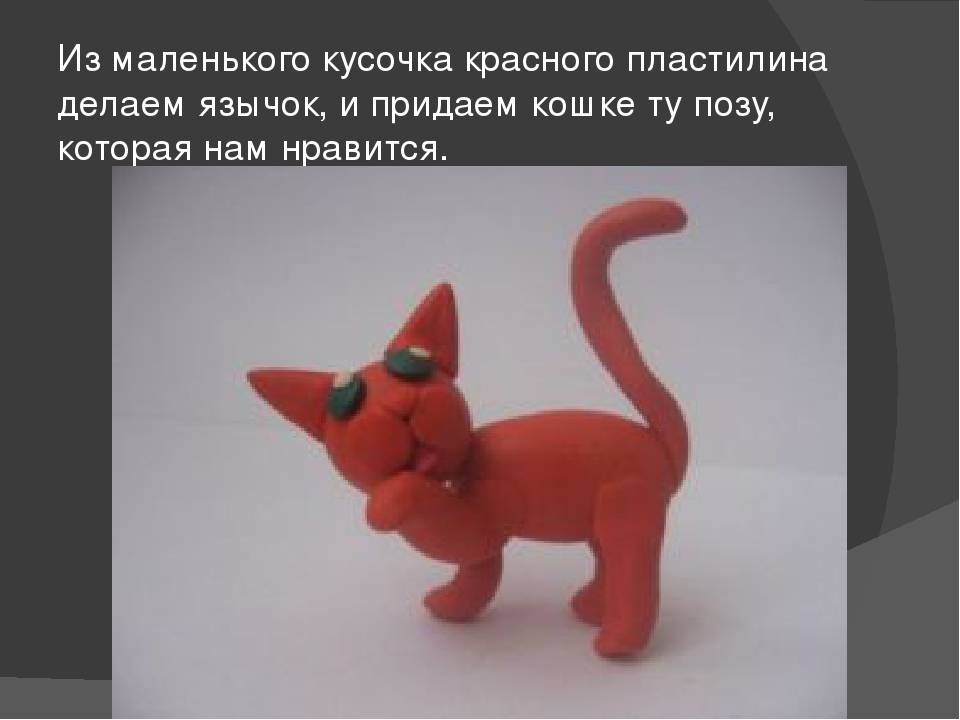 Картинки как слепить кота из пластилина