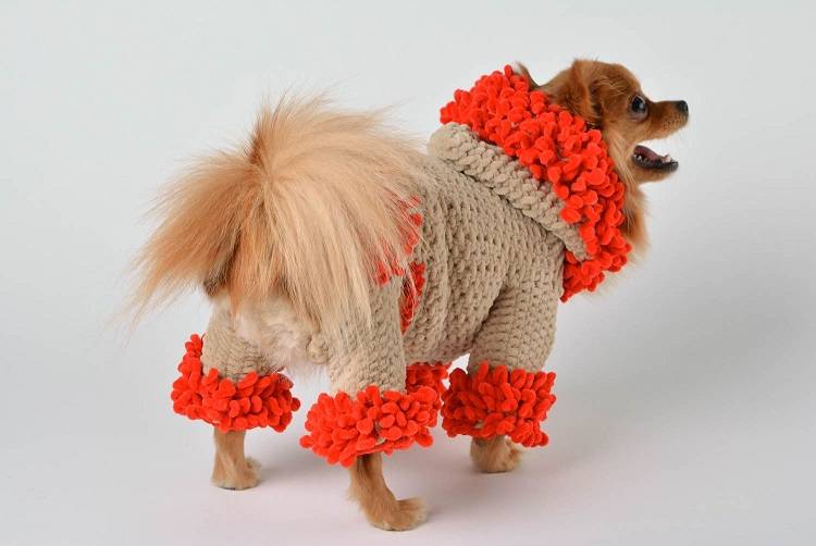 Как начинающему самостоятельно и правильно вязать свитеры для собак