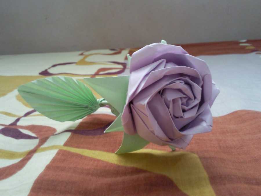 Как сделать розы из бумаги своими руками: пошаговая инструкция для начинающих (+190 фото)