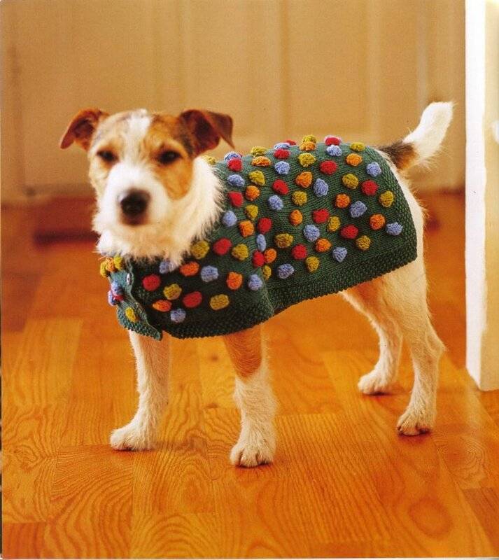 Одежка для маленькой собаки с описанием - вязание - страна мам