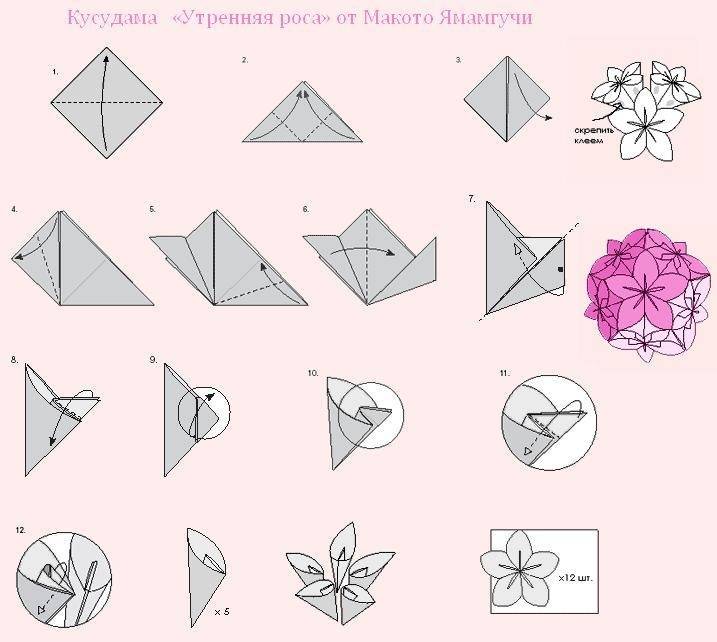 Цветы из бумаги: пошаговые фото + схемы и шаблоны - друзья - медиаплатформа миртесен