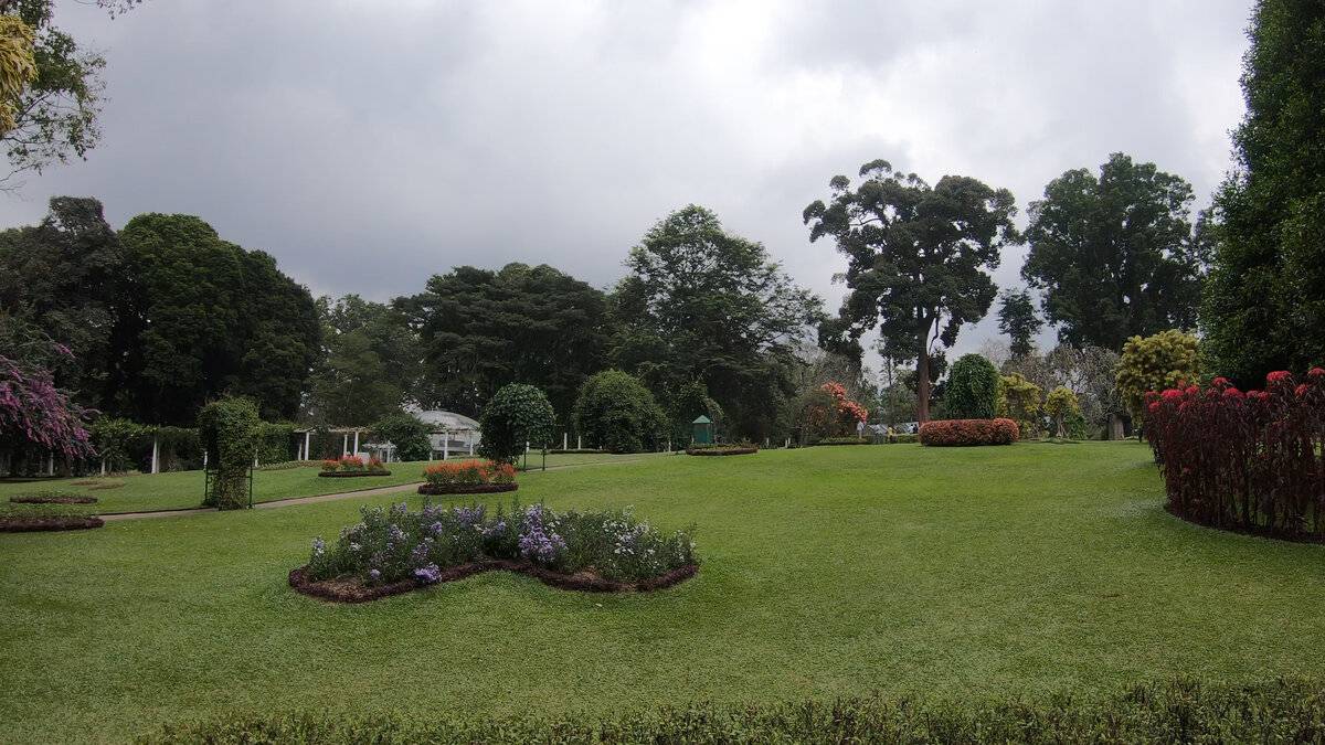Дом орхидей в Королевском ботаническом саду, Перадения, Шри-Ланка как хобби и увлечение