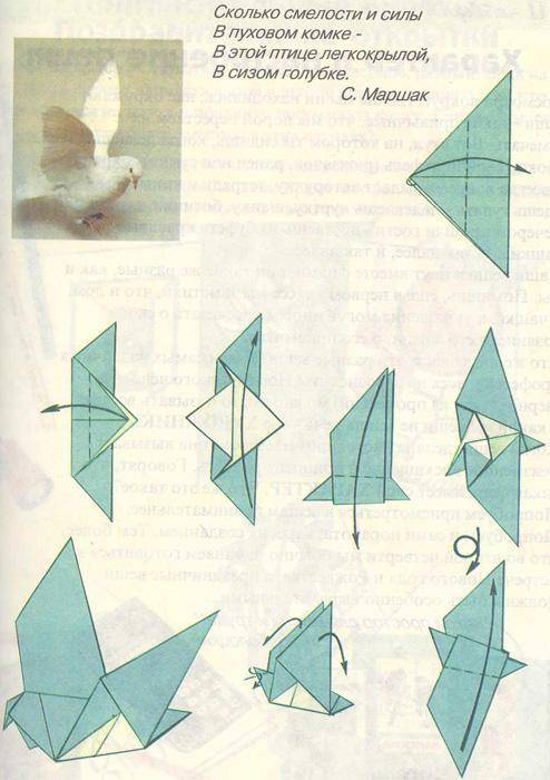 Голубь своими руками — учимся делать голубя из бумаги и картона, фото лучших схем и шаблонов для оригами