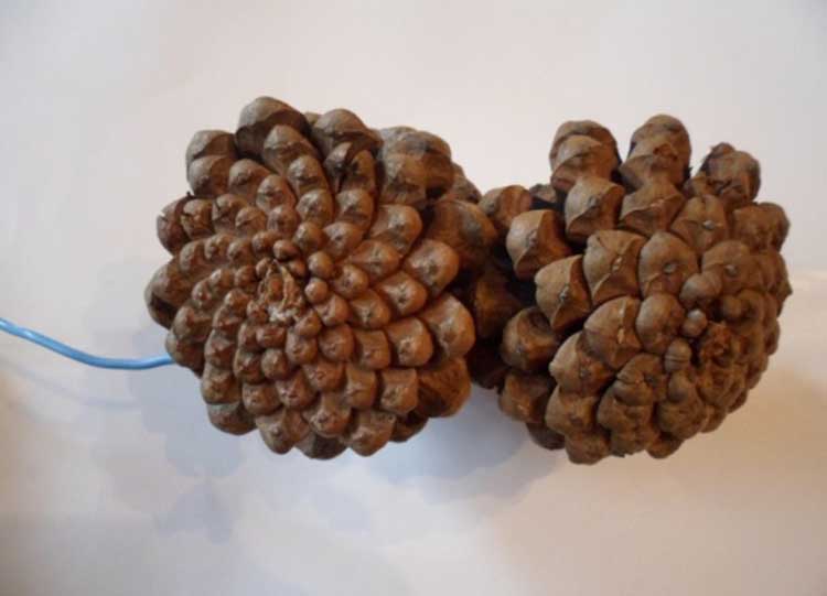 Поделки из шишек