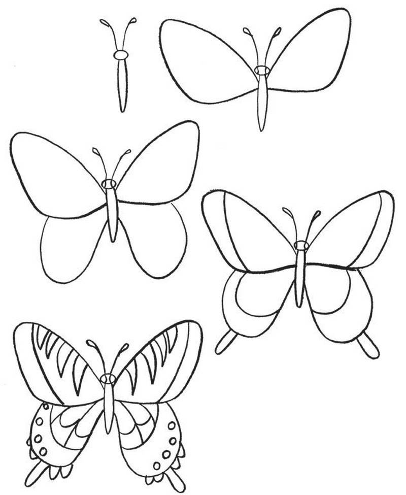 Как нарисовать бабочку карандашом