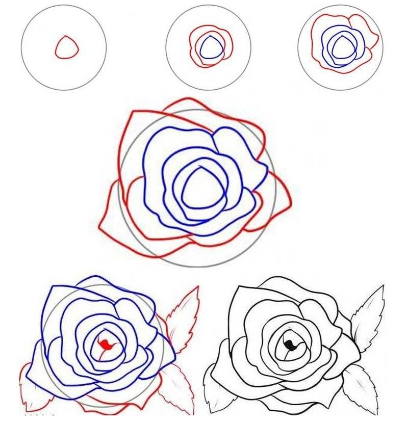 Как нарисовать розу карандашом (поэтапный урок для детей)