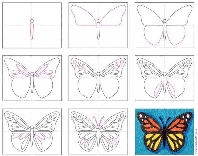 Как нарисовать бабочку карандашом поэтапно для начинающих легко