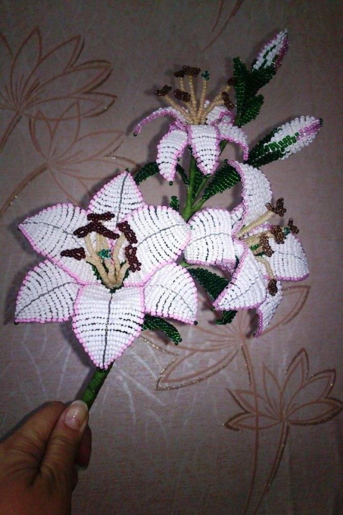 Лилия из бисера своими руками - пошаговый мастер-класс создания цветка. красивая лилия из бисера: как сделать амазонскую, тигровую, водяную лилию своими руками из бисера