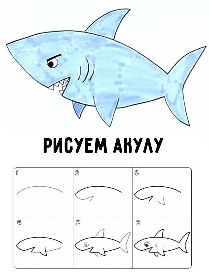 Как легко нарисовать кита: поэтапные инструкции и рекомендации для начинающих. как нарисовать кита поэтапно