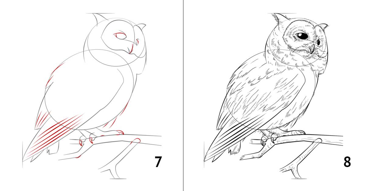 Нарисовать красивую сову карандашом поэтапно для ребенка, как нарисовать совушку, рисунок совы для ребенка