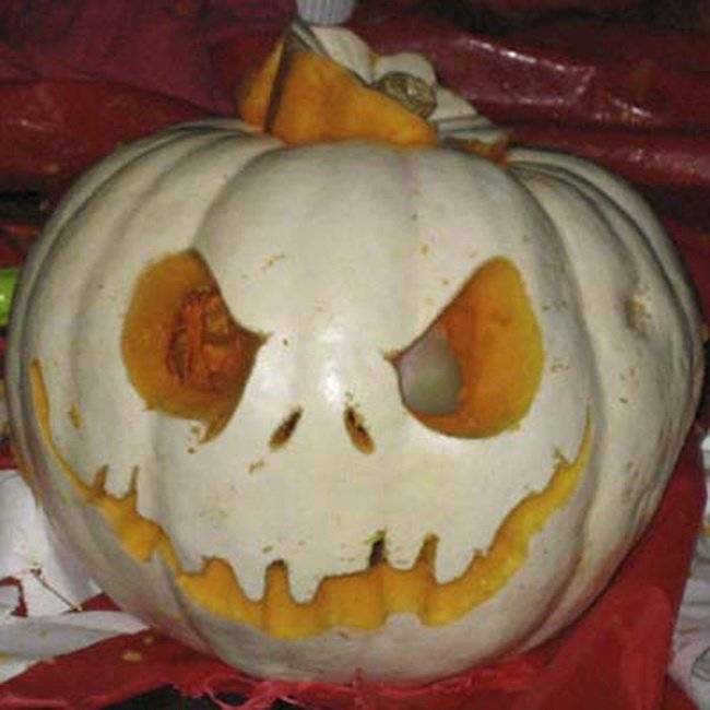 Как вырезать оригинальную тыкву на хеллоуин чтобы удивить ваших соседей и гостей