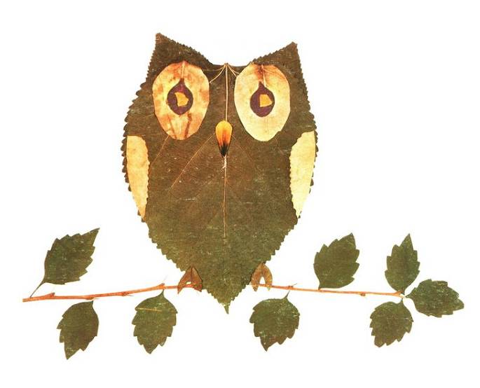 ✅ аппликация сова из цветной бумаги, ткани и сухих листьев - интересные идеи, мастер-классы, фото примеры - dacktil.ru