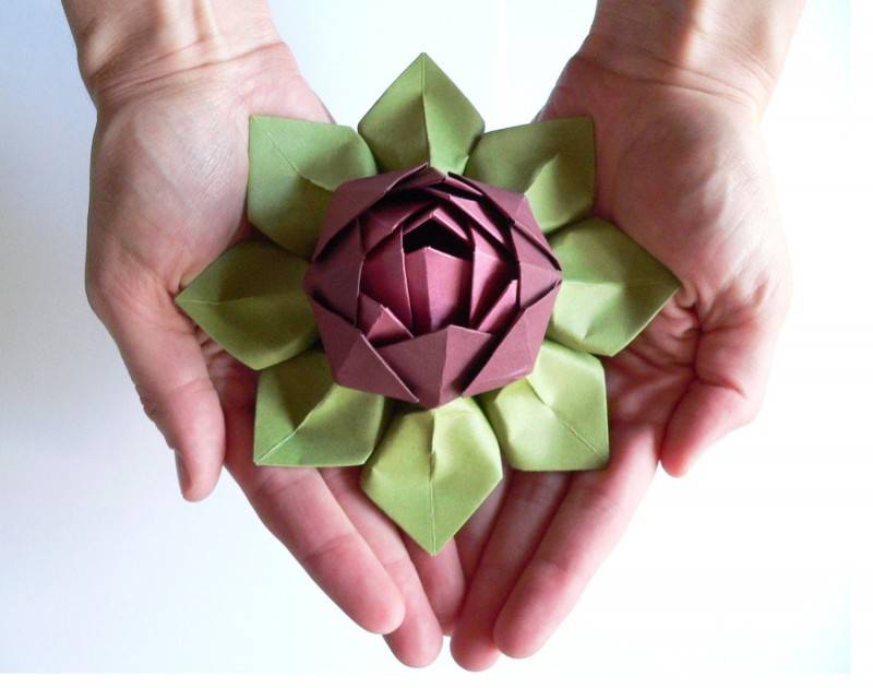 Оригами лотос из бумаги: схема сборки и пошаговая инструкция