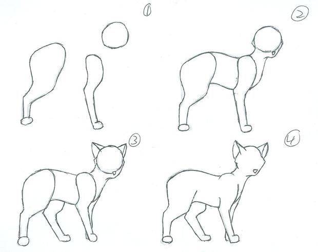 Как легко нарисовать кошку в стиле аниме — ТОП варианты для начинающих