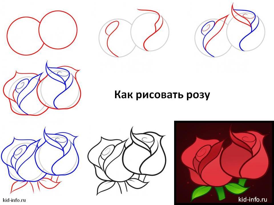 Как нарисовать розу поэтапно? как нарисовать розу карандашом поэтапно