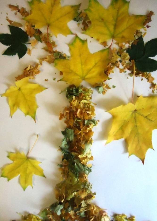 Гербарий из листьев и цветов в интерьере, как сделать своими руками, красивые типы и виды, как правильно собирать и сушить материал