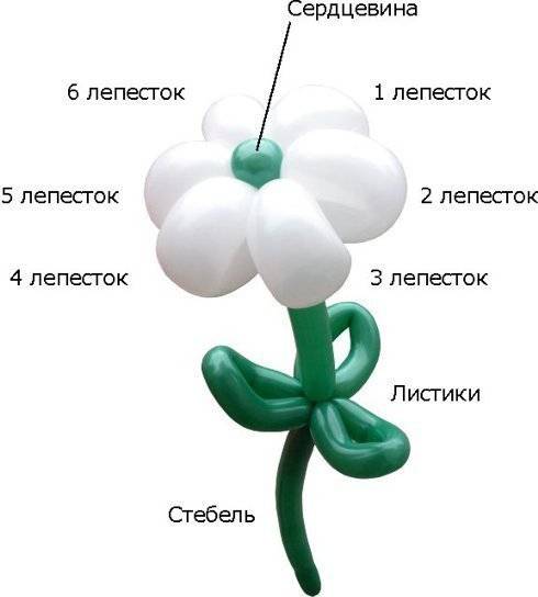 Цветок из шарика - колбаски: инструкция и схема для новичков