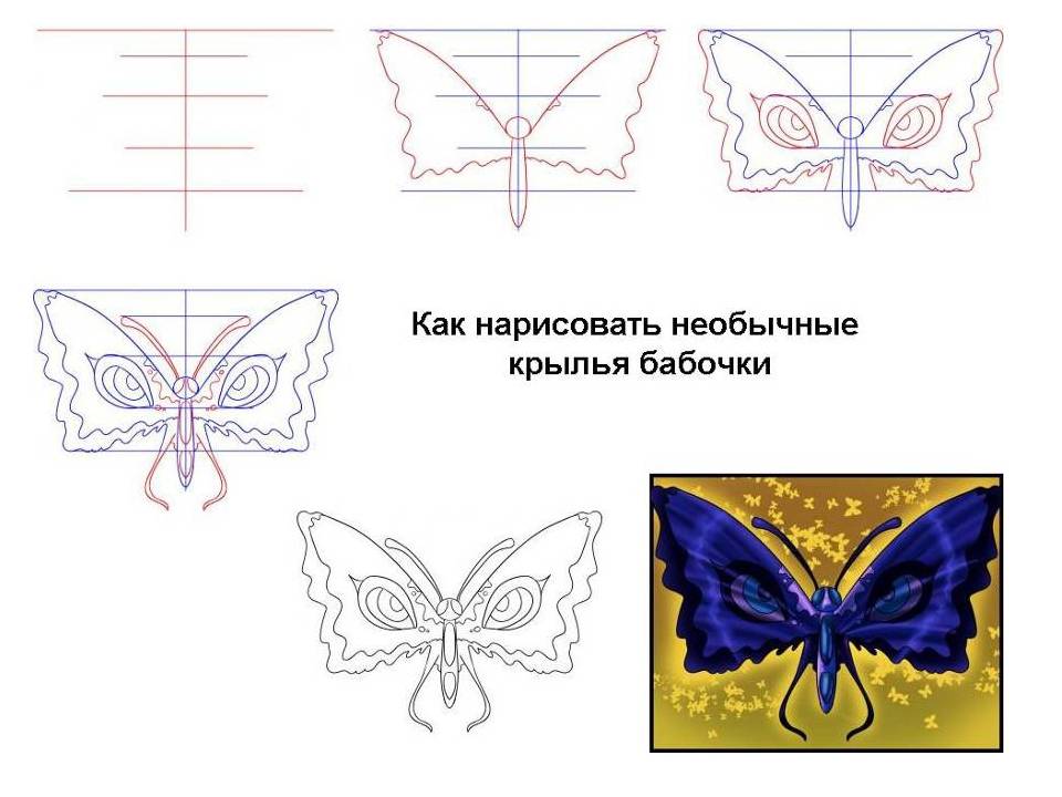 Как легко и красиво нарисовать бабочку поэтапно карандашом для начинающих