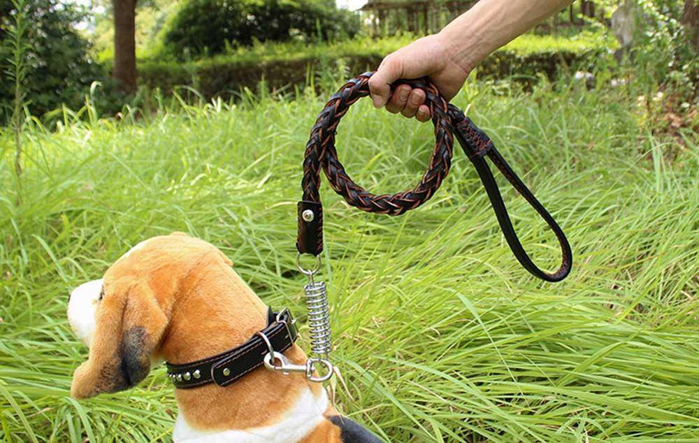 Как сшить одежду для собак своими руками: пошаговые видео с выкройками и инструкциями - все курсы онлайн