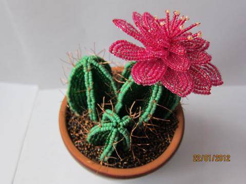 Несколько способов плетения цветущего кактуса из бисера