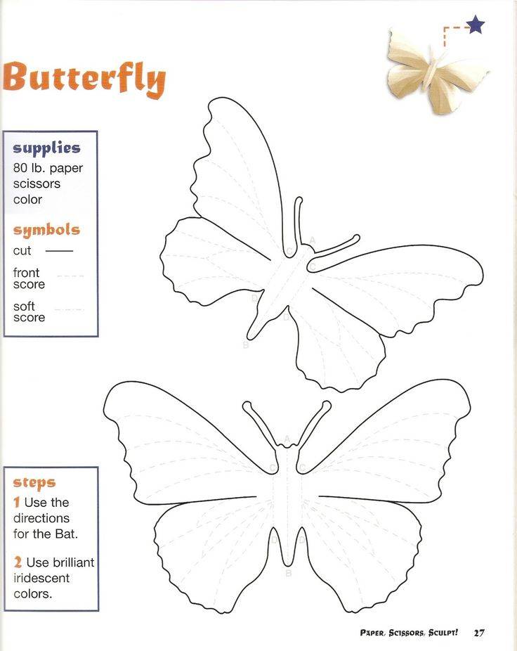 Как сделать бабочку своими руками из бумаги, ленты и других подручных материалов - сделай сам - медиаплатформа миртесен