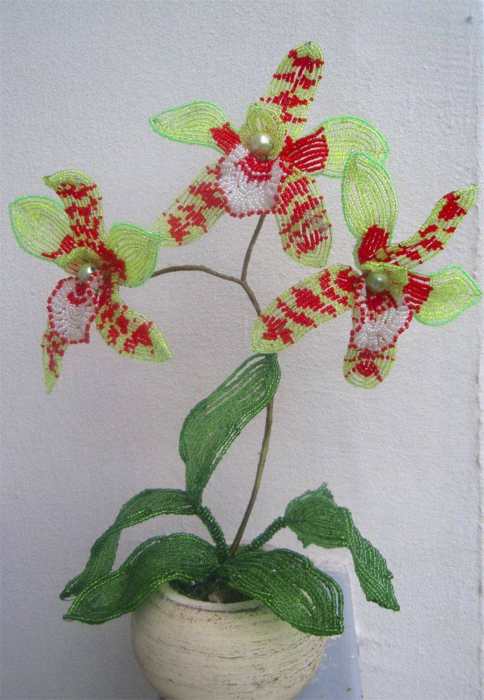 Орхидея из бисера: мастер-класс, как сделать цветок, схемы плетения пошагово