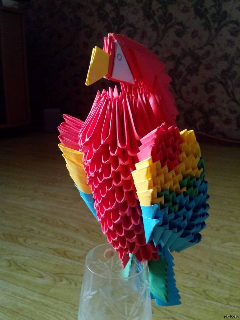 Оригами попугай из бумаги для начинающих поэтапно: самые легкие схемы с подробным описанием