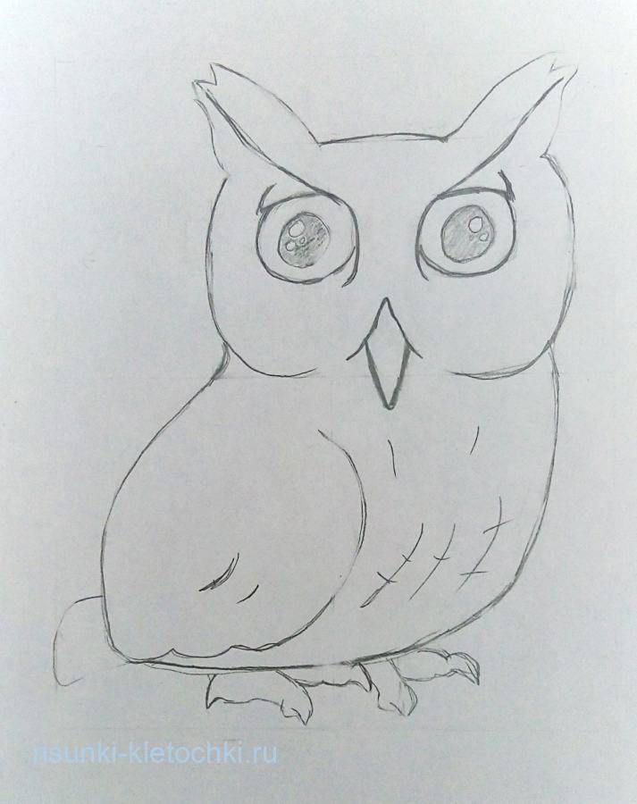 Рисование совы поэтапно для детей
