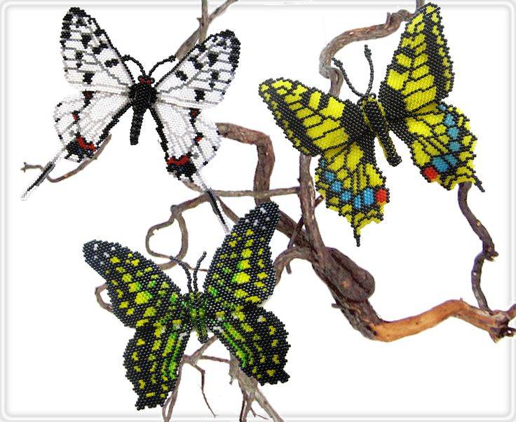 Бабочка из бисера: схема плетения для начинающих