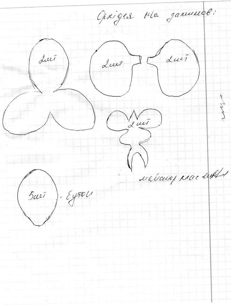 Орхидеи из фоамирана: выкройки и мастер класс своими руками